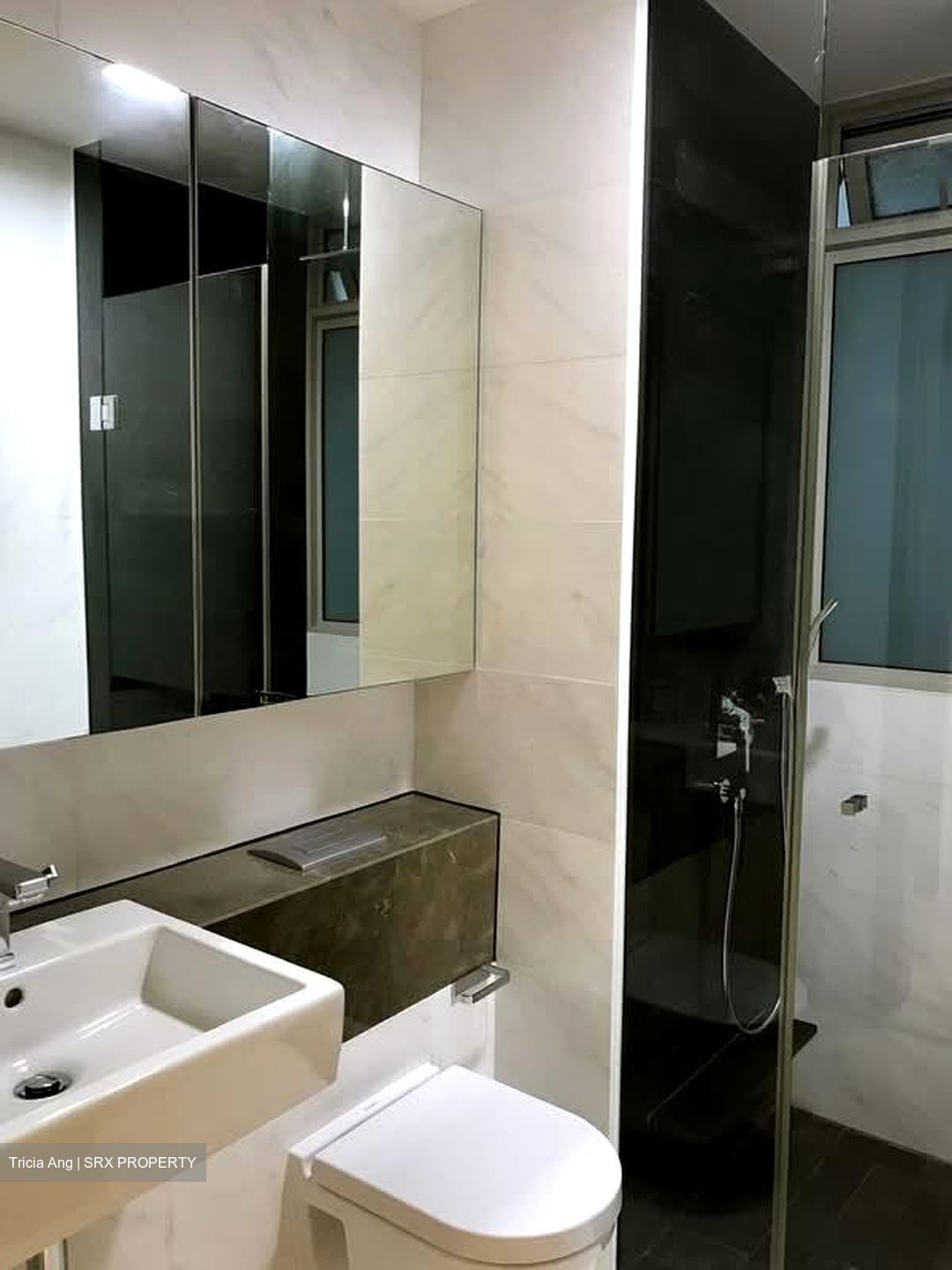 RV Residences (D10), Condominium #577218851